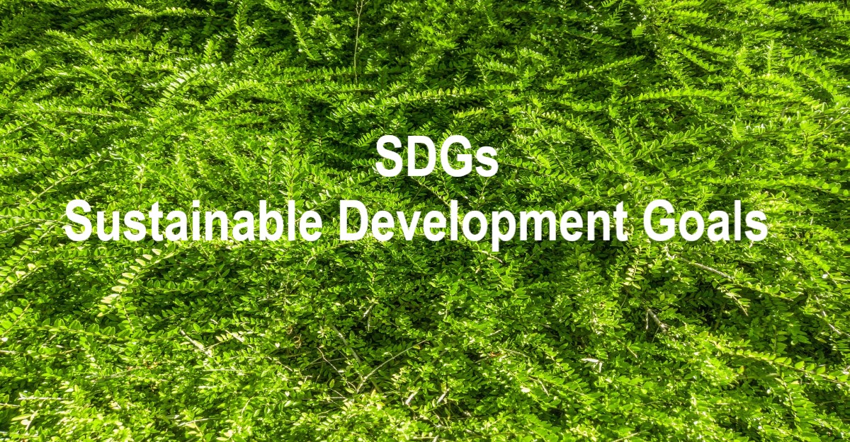 Utilization of Idle Assets and the SDGs