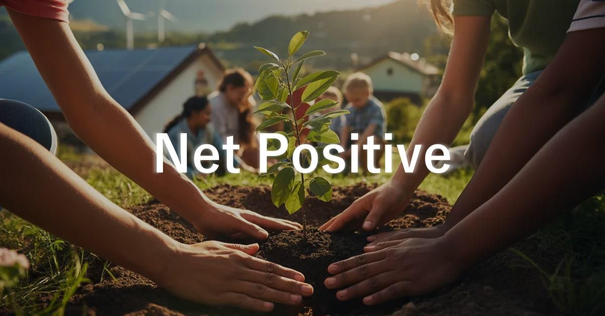 「净正效益」设计咨询公司能发挥什么作用？